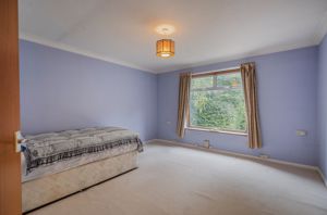 Photo 13- click for photo gallery